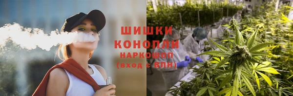 винт Бородино