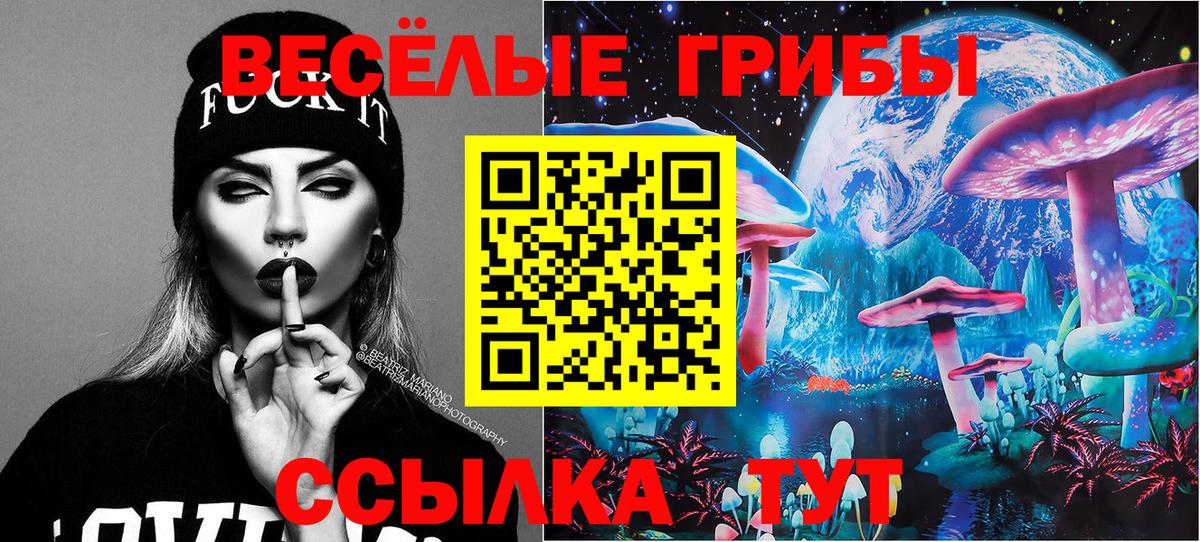 Удомля  Псилоцибиновые грибы Cubensis  Вход с VPN 