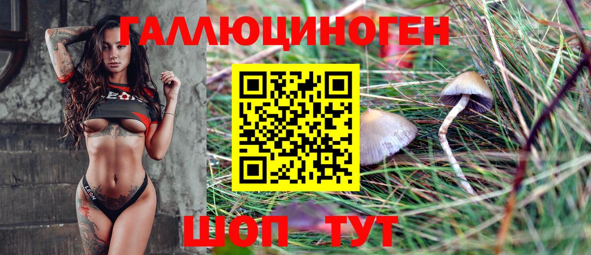 Галлюциногенные грибы GOLDEN TEACHER Удомля